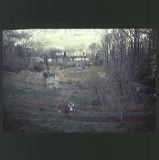 scan0072