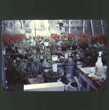 scan0074