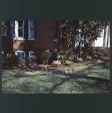 scan0077