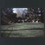 scan0079
