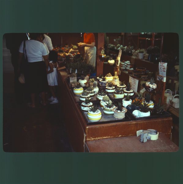 scan0002.jpg