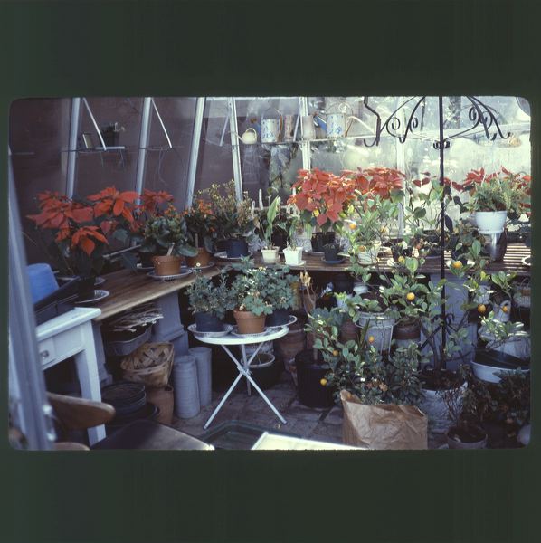 scan0075.jpg
