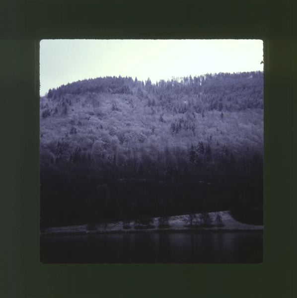 scan0011.jpg