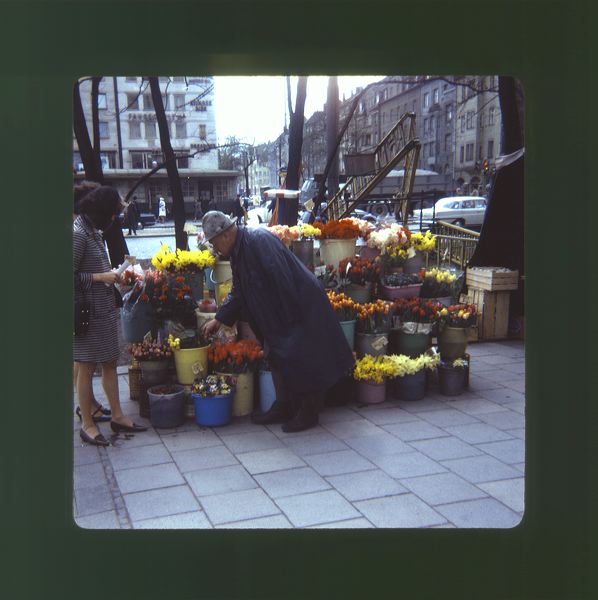 scan0071.jpg