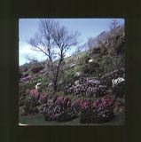 scan0007
