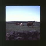 scan0031