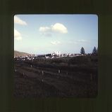 scan0055