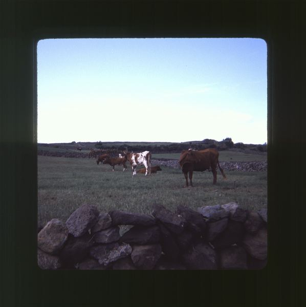 scan0031.jpg