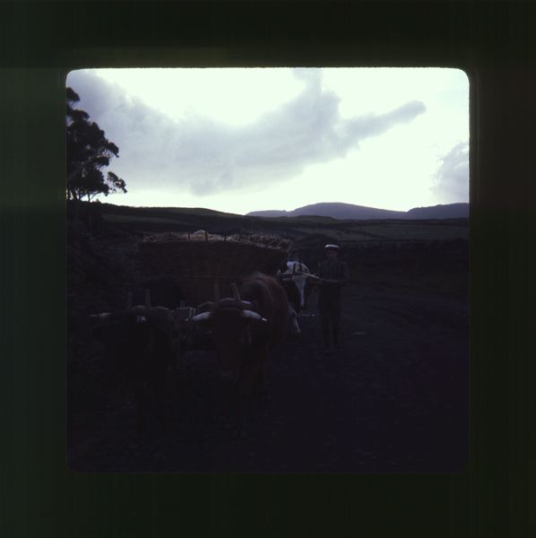 scan0033.jpg