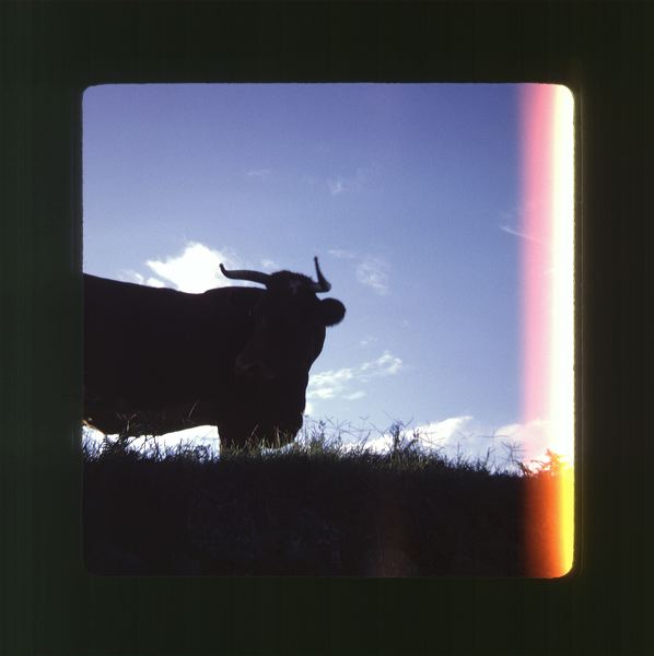 scan0035.jpg