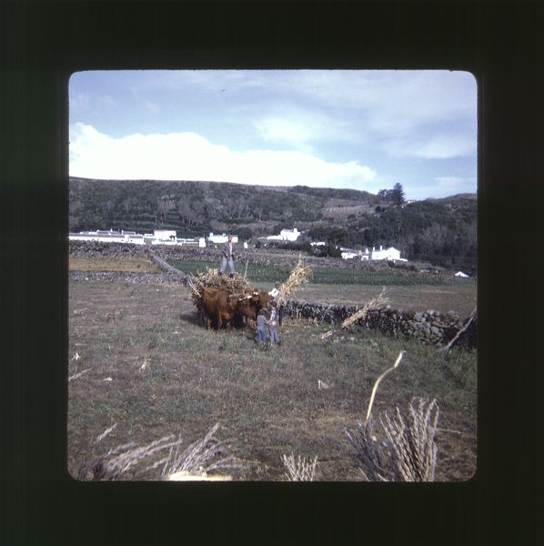 scan0036.jpg