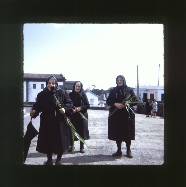 scan0076.jpg