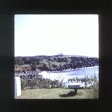 scan0015
