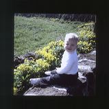 scan0019
