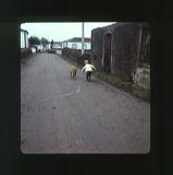 scan0020