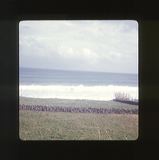 scan0023