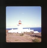 scan0028