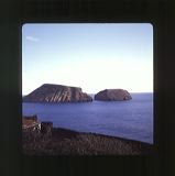 scan0030