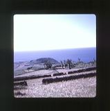scan0032