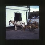scan0038