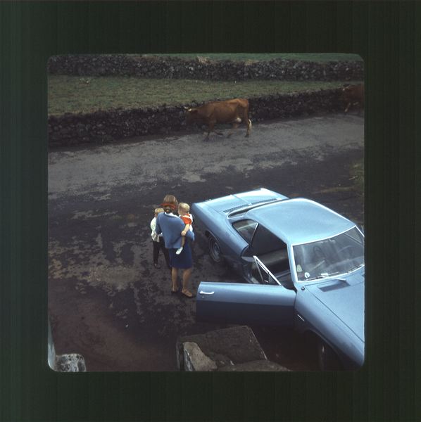 scan0024.jpg