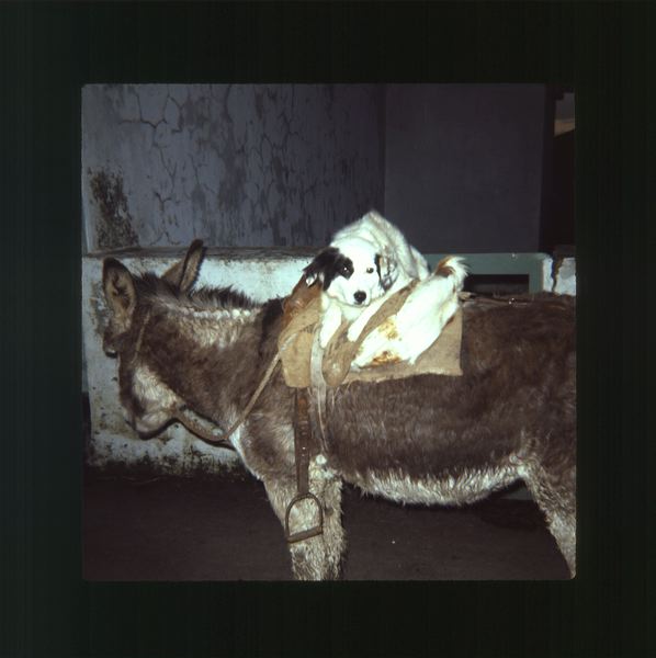 scan0036.jpg