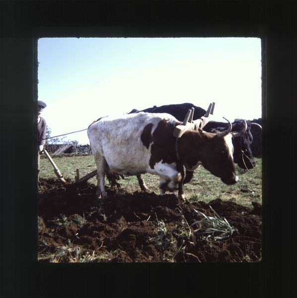 scan0037.jpg