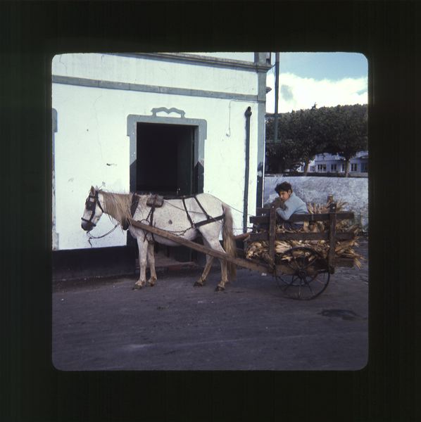 scan0038.jpg