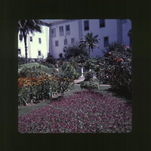 scan0057.jpg