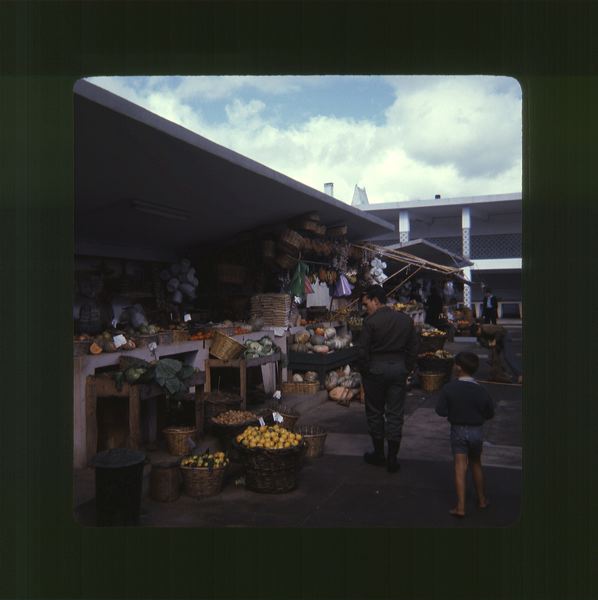 scan0061.jpg