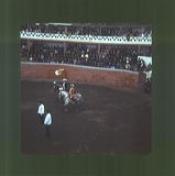 scan0005