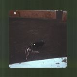 scan0009