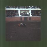 scan0010