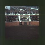 scan0011