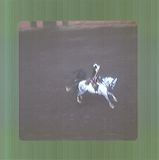 scan0018