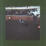 scan0019