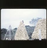 scan0036