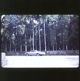 scan0039