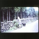 scan0040
