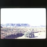 scan0043