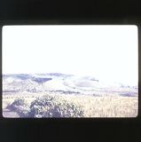 scan0045