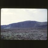 scan0047