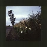 scan0057