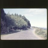 scan0059