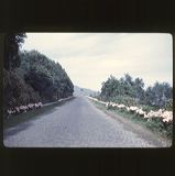 scan0061
