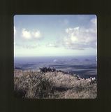 scan0066