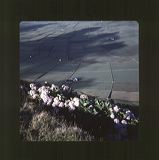 scan0067