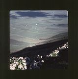 scan0068