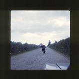 scan0070