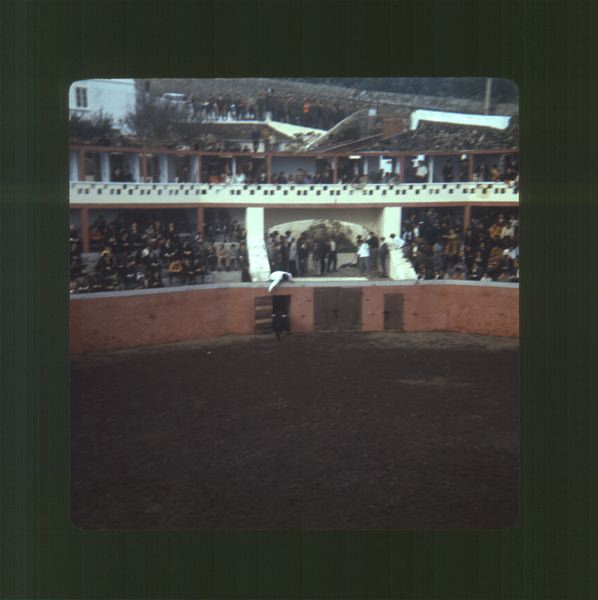 scan0011.jpg